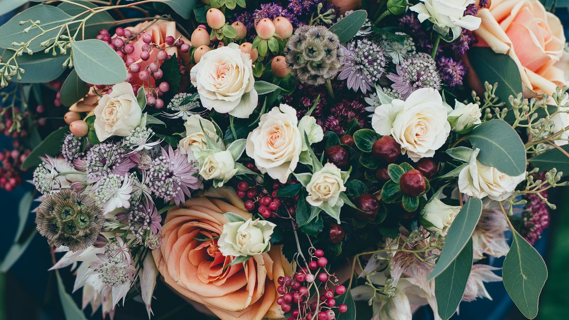 Floristerías y Tiendas de Mascotas